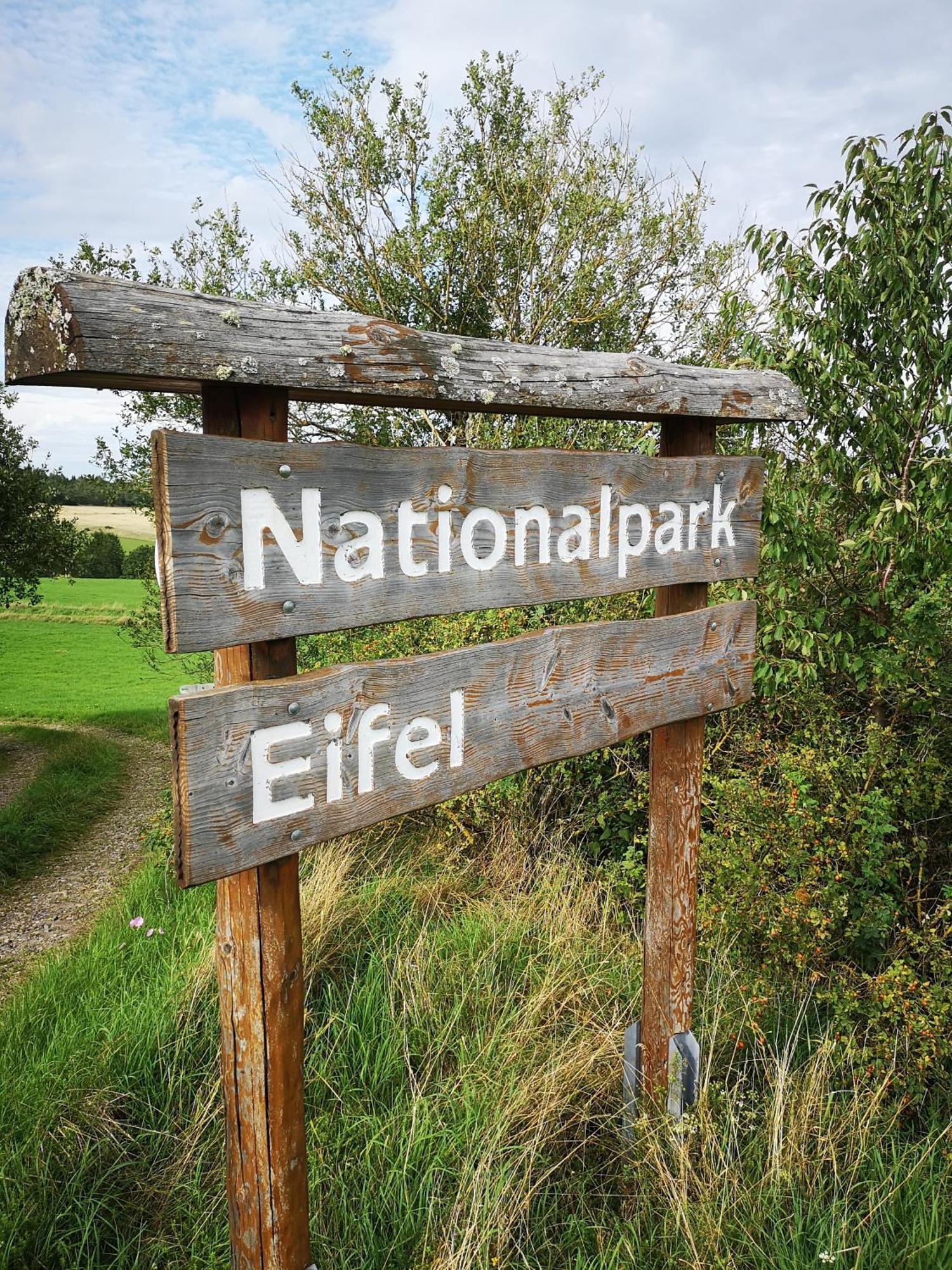 Ferienwohnung In Waldrandlage In Nationalpark Schleiden / Eifel Екстер'єр фото