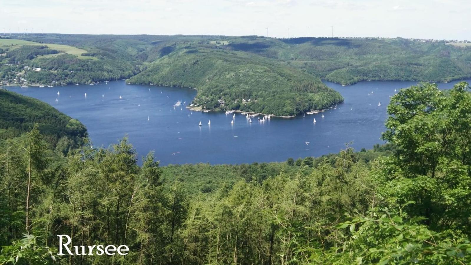 Ferienwohnung In Waldrandlage In Nationalpark Schleiden / Eifel Екстер'єр фото