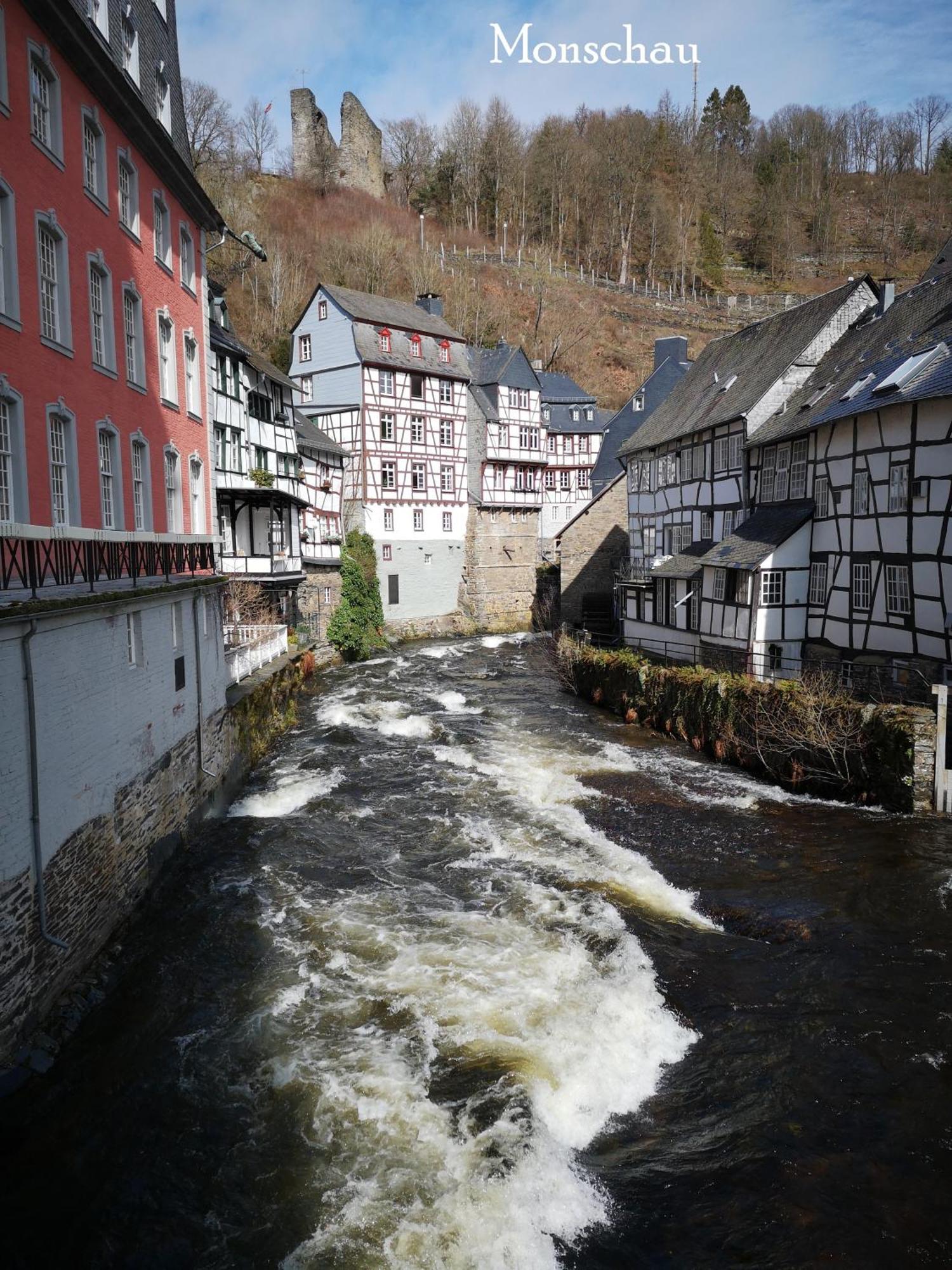 Ferienwohnung In Waldrandlage In Nationalpark Schleiden / Eifel Екстер'єр фото
