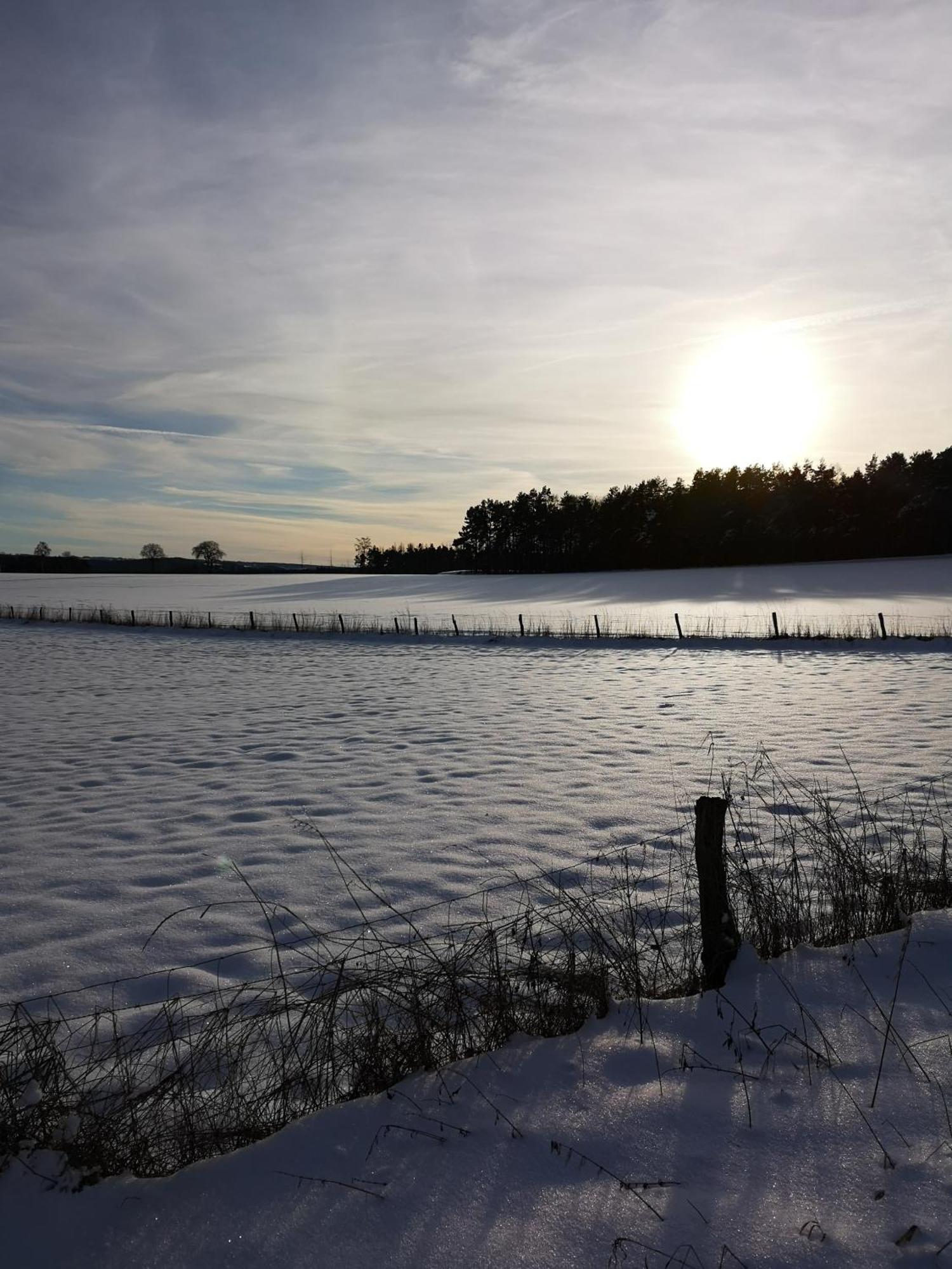 Ferienwohnung In Waldrandlage In Nationalpark Schleiden / Eifel Екстер'єр фото