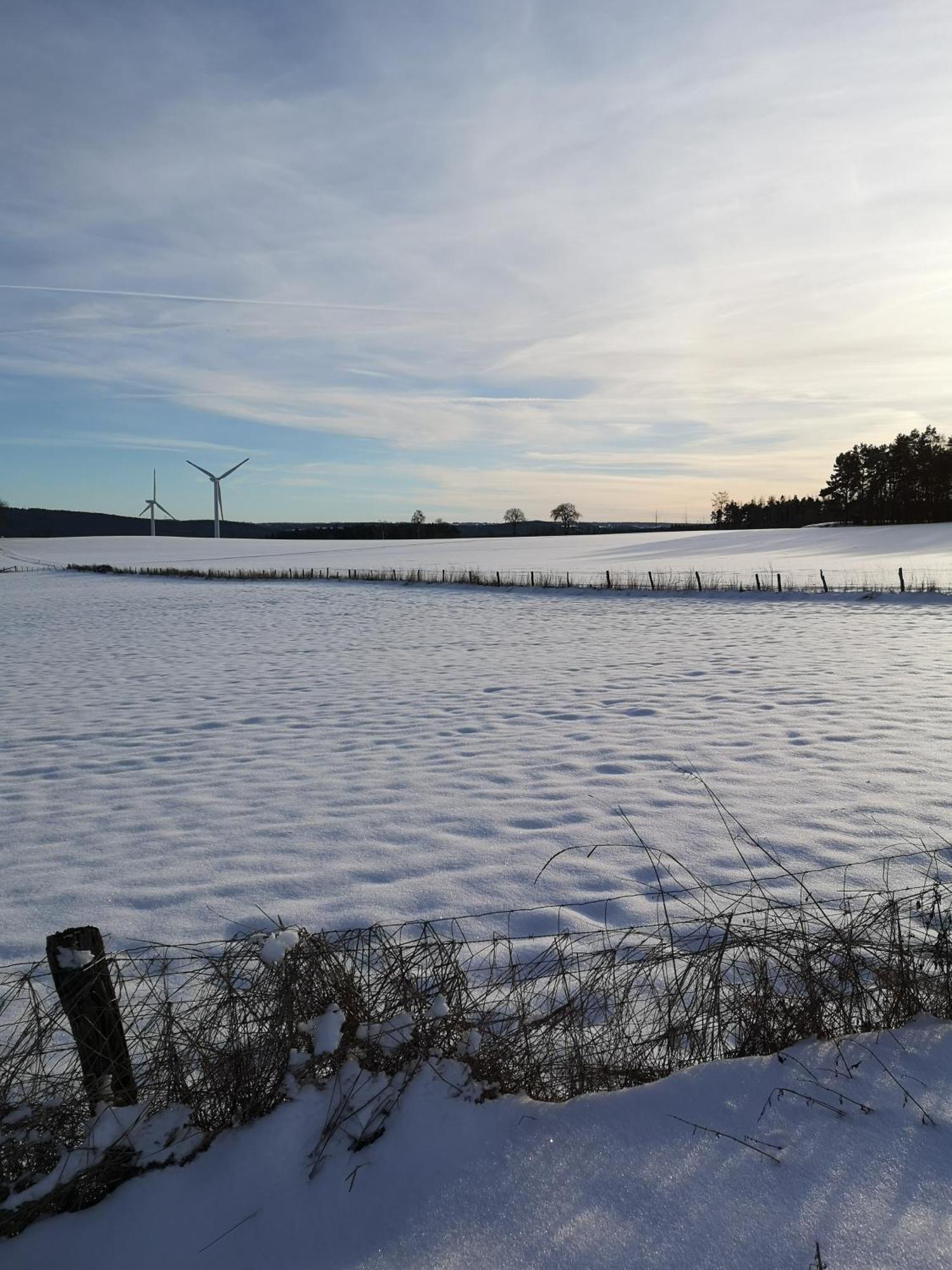 Ferienwohnung In Waldrandlage In Nationalpark Schleiden / Eifel Екстер'єр фото