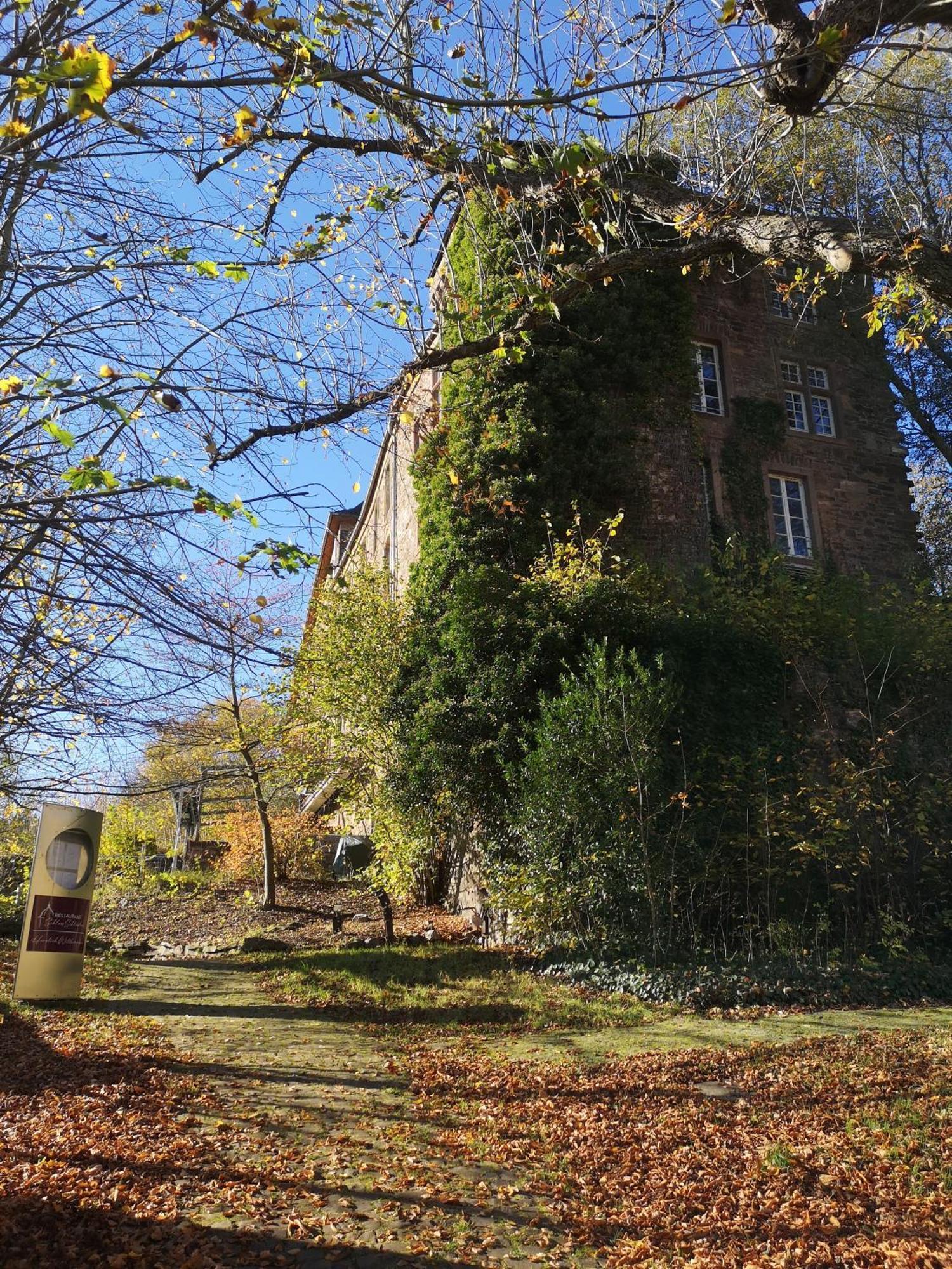 Ferienwohnung In Waldrandlage In Nationalpark Schleiden / Eifel Екстер'єр фото