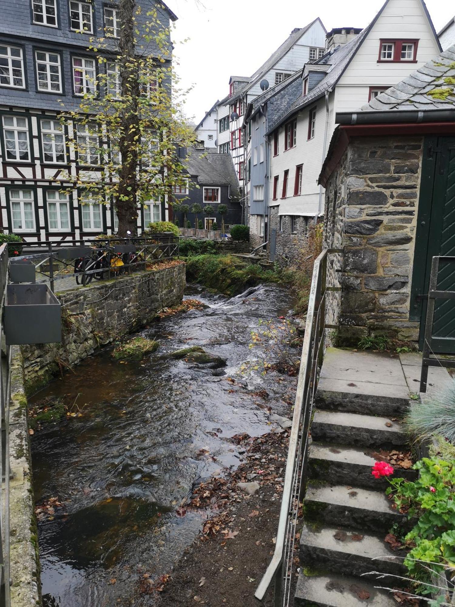 Ferienwohnung In Waldrandlage In Nationalpark Schleiden / Eifel Екстер'єр фото