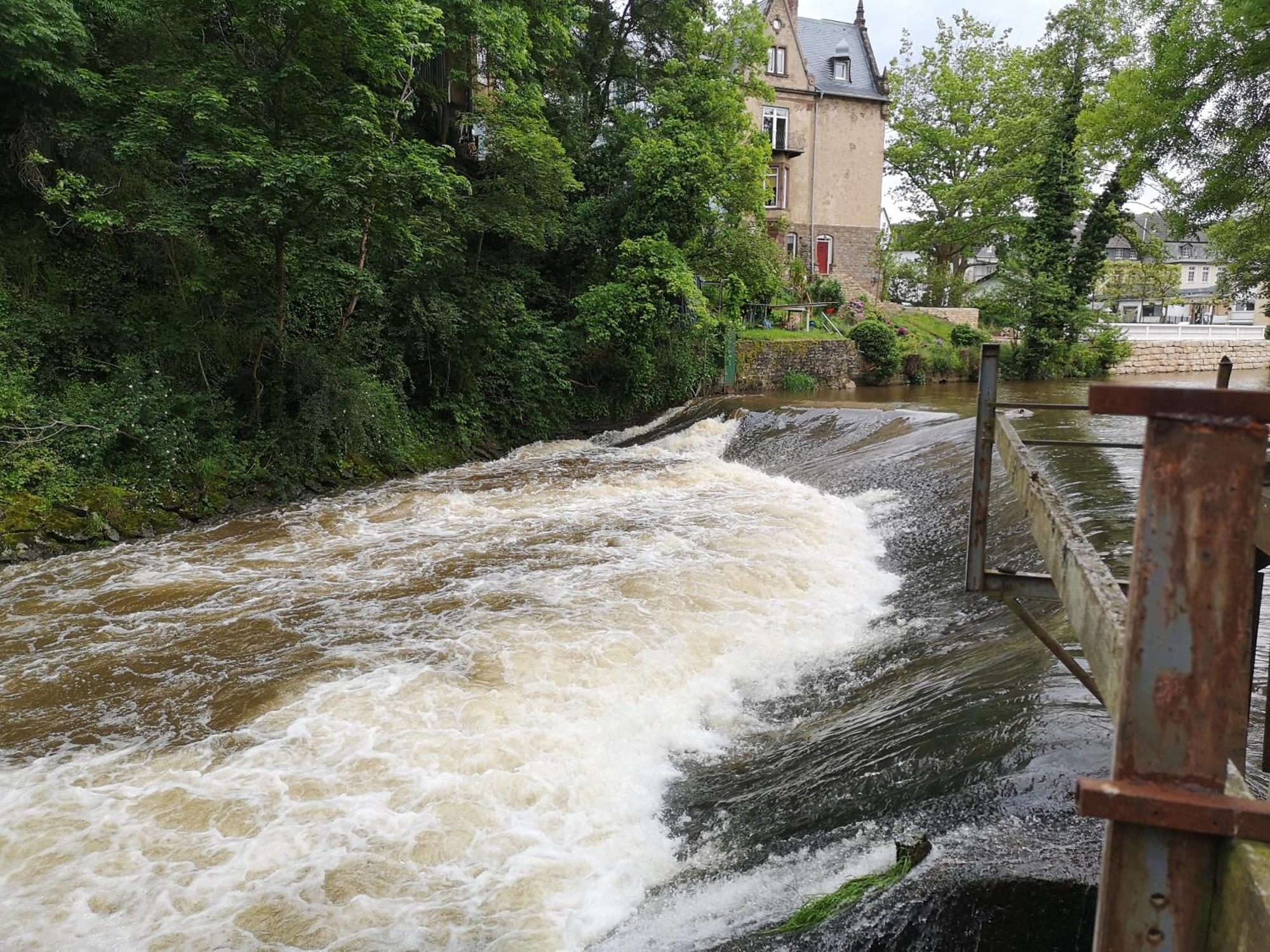Ferienwohnung In Waldrandlage In Nationalpark Schleiden / Eifel Екстер'єр фото