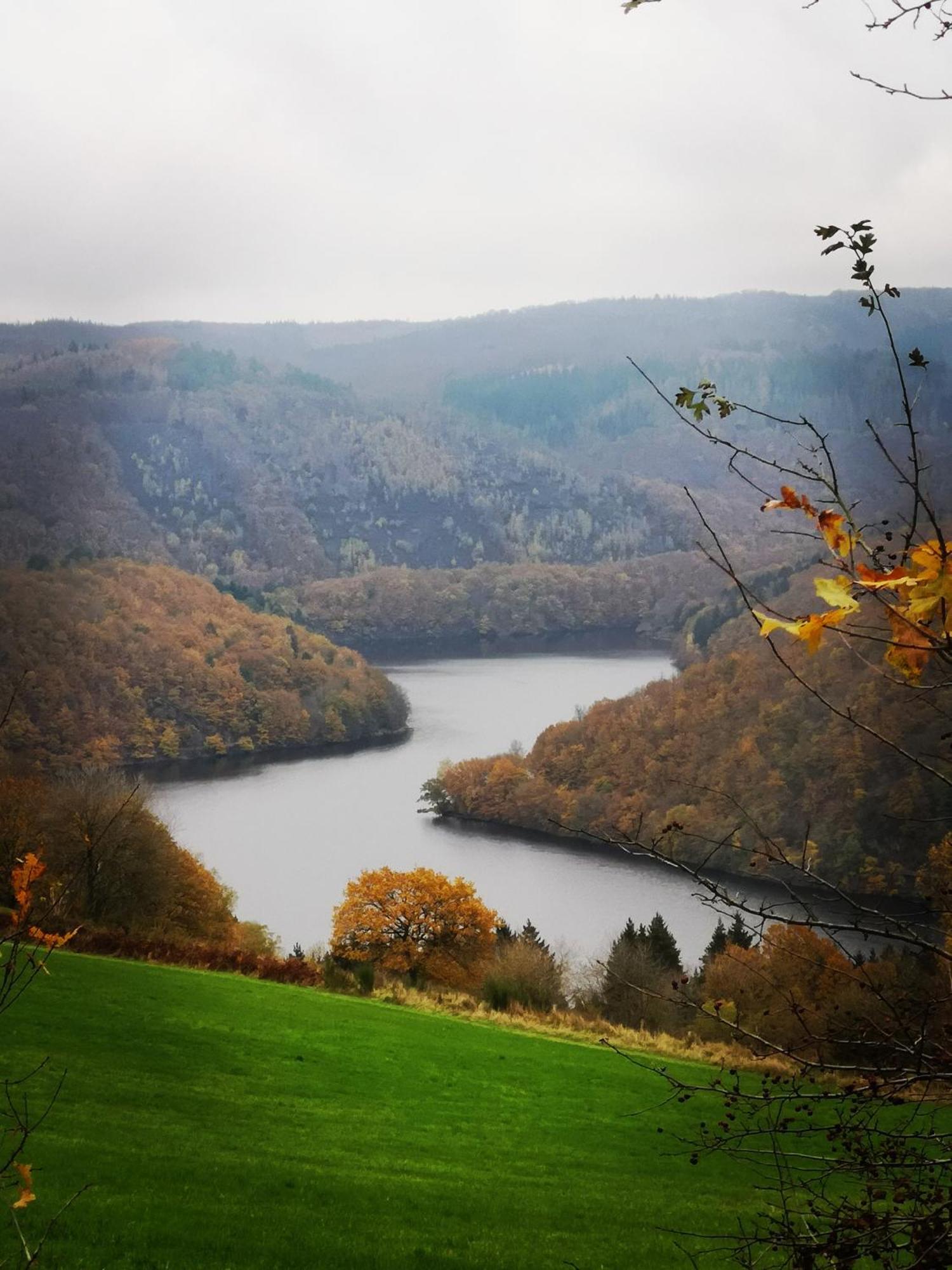 Ferienwohnung In Waldrandlage In Nationalpark Schleiden / Eifel Екстер'єр фото